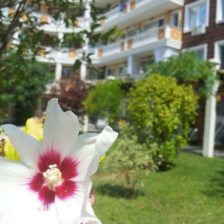 סאני ביץ' Villa Aria Complex מראה חיצוני תמונה